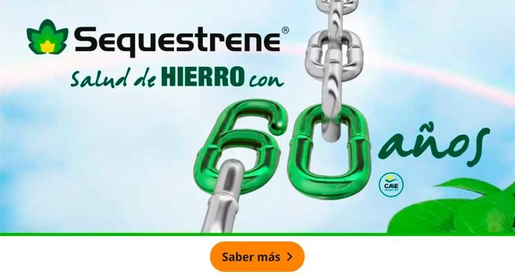 Sequestene cumple 60 años
