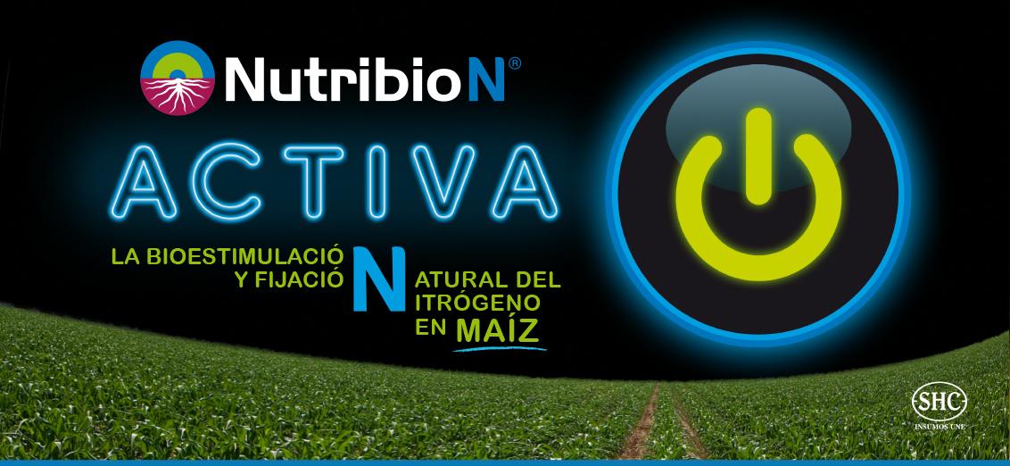 NutribioN Bioestimula la fijación del nitrógeno en el maíz | Syngenta