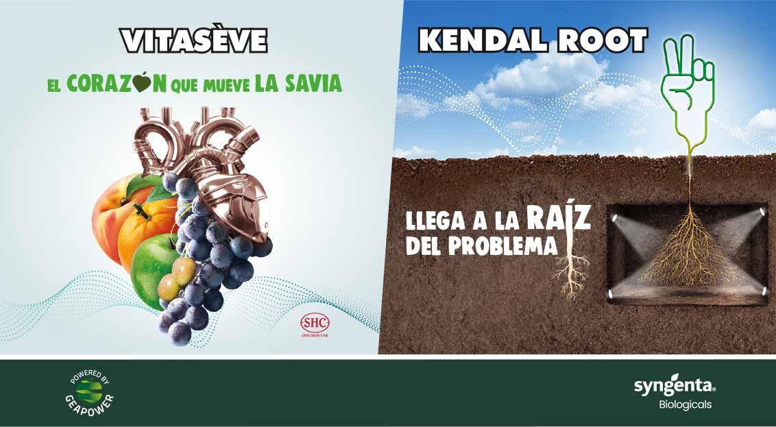 Vitasève y Kendal Root el conjunto que estimula diferentes procesos en la planta