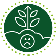 Kendal Root icono 2