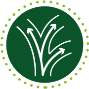 Vitasève icono 2