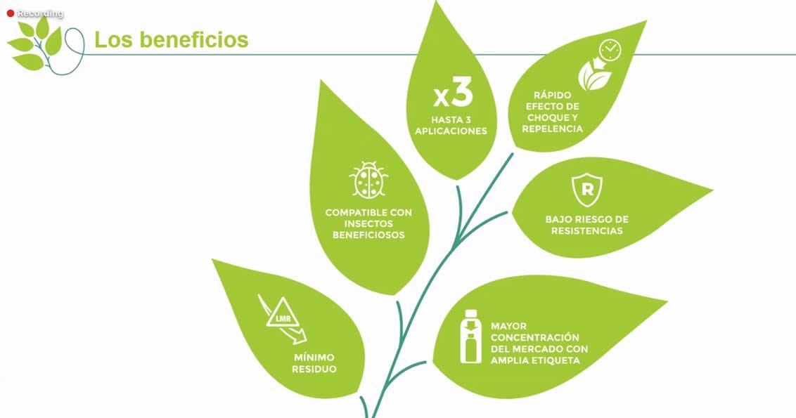 Los puntos fuertes de Pyrevert