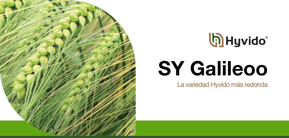 SY Galileoo - La variedad más redonda