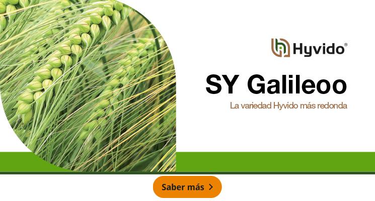SY Galileoo - La variedad más redonda
