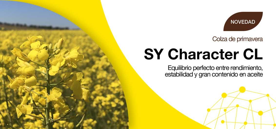 SY Character CL - colza de primavera