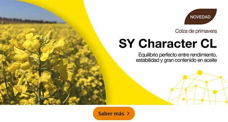 SY Character CL - colza de primavera
