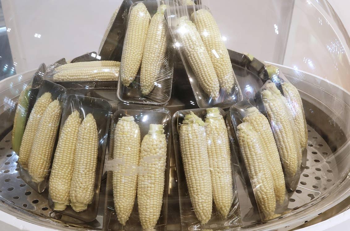 “Glacial” es una variedad de mazorca de maíz de grano blanco