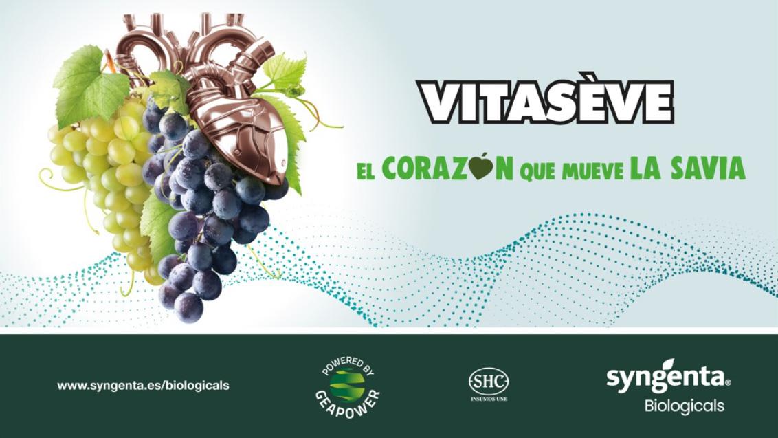 VITASÉVE