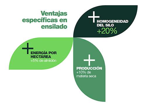 Tecnología MaxiMaze