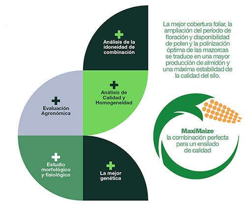 Tecnologia MaxiMaize