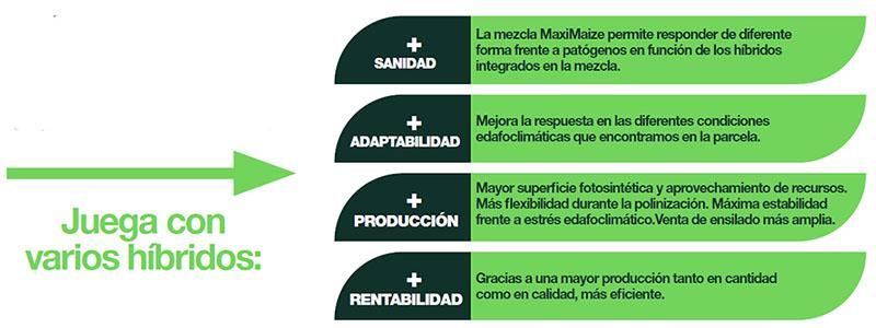 Tecnología MaxiMaize