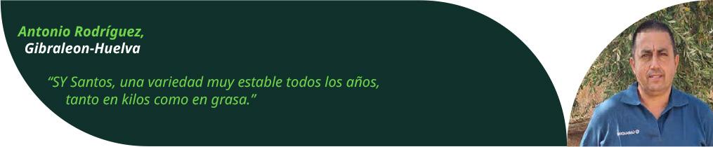 SY Santos, testimonio 1