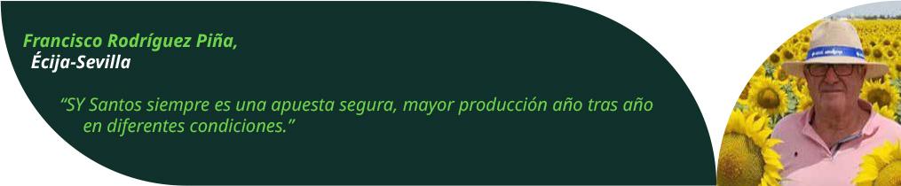 SY Santos, testimonio 4