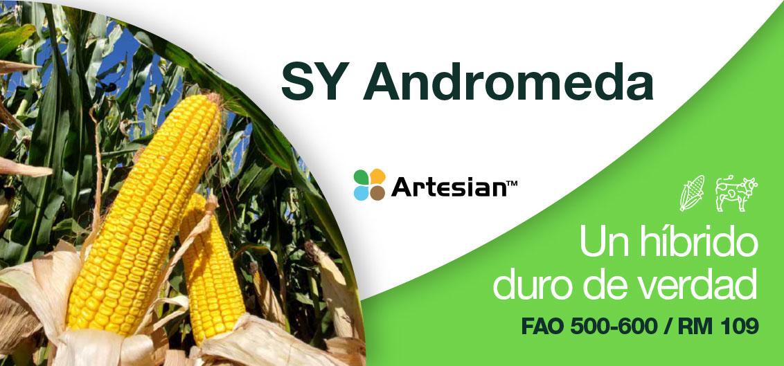 SY Andromeda, un híbrido duro de verdad