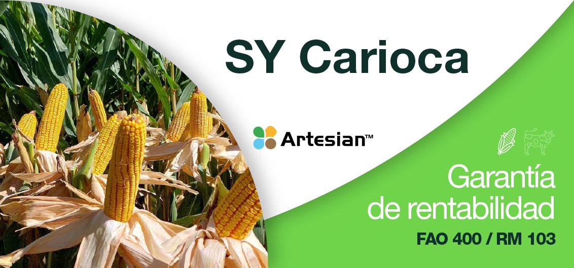 SY Carioca garantía de rentabilidad
