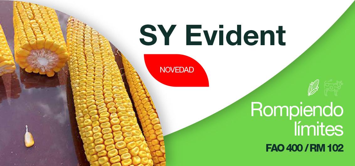 SY Evident, rompiendo límites