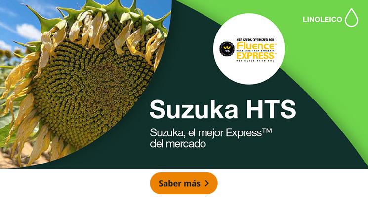 Suzuka HTS, el mejor Express™ del mercado