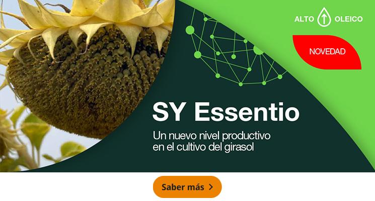 SY Essentio, Un nuevo nivel productivo en el cultivo de girasol