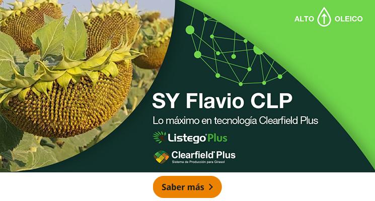 SY Flavio CLP, Lo máximo en tecnología Clearfield Plus
