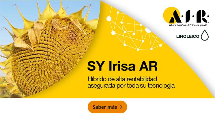 SY Irisa AR, Híbrido de alta rentabilidad asegurada por toda su tecnología