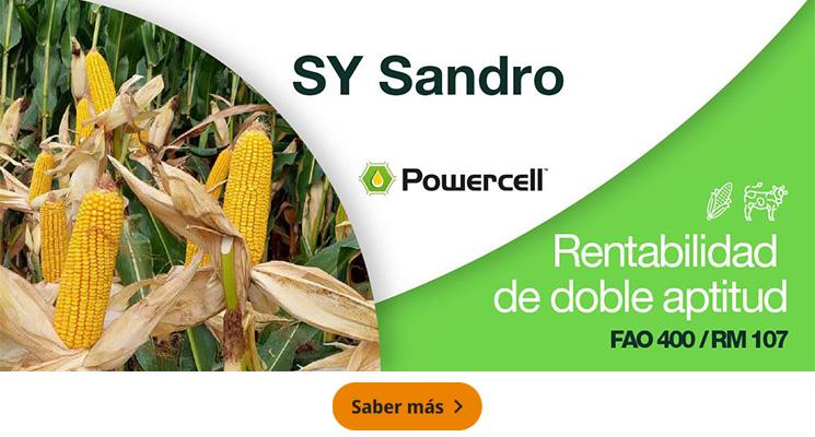 SY Sandro, Rentabilidad de doble aptitud