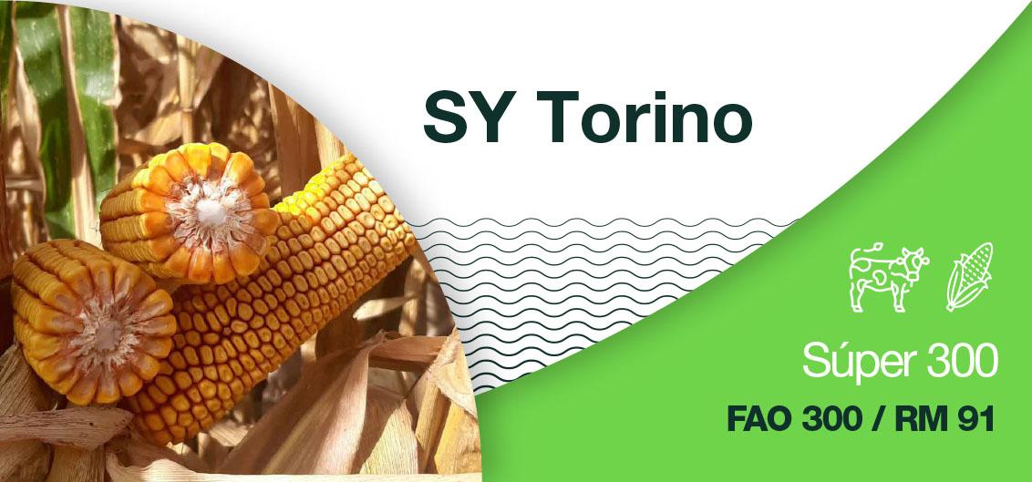 SY Torino, súper 300