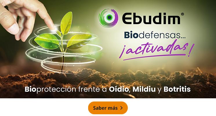 Ebudim, Biodefensas ¡activadas!