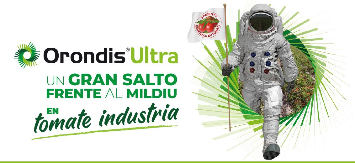 Orondis Ultra, Un gran salto frente al Mildiu en tomate indústria