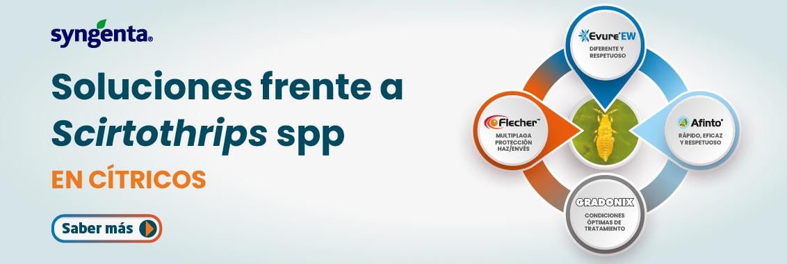 Soluciones frente a trips en cítricos