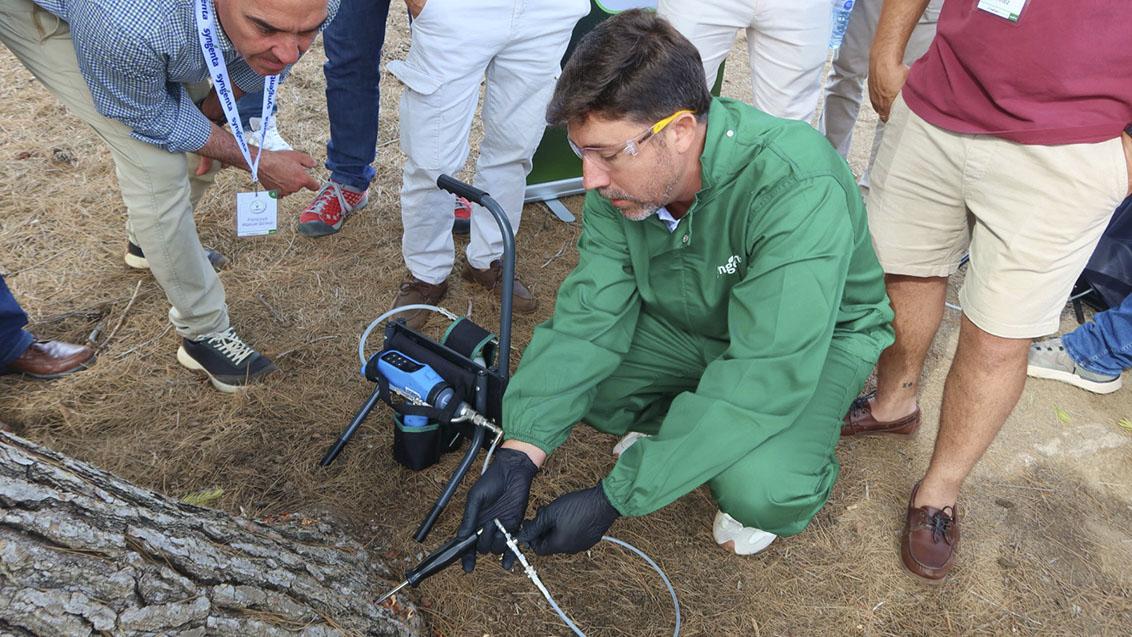 TreeCare® Academy, prácticas