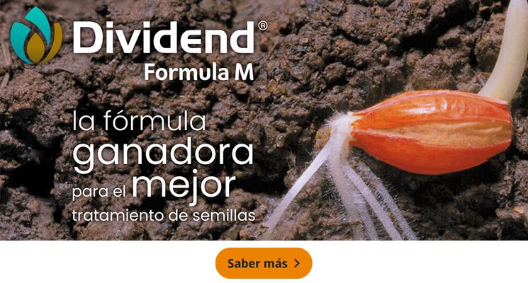 Dividend Formula M la fórmula ganadora