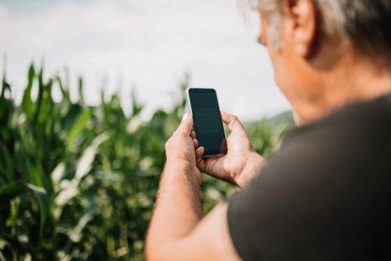 Syngenta | imagen  | imagen de un agricultor con móvil en la mano haciendo una foto al cultivo