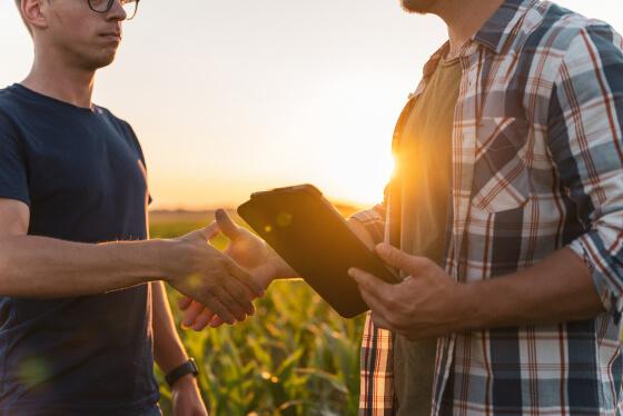 Syngenta | imagen  | imagen dos personas dándose la mano en medio del campo al atardecer