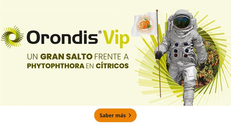 Orondis Vip, Un gran salto frente a Phytophthora en Cítricos