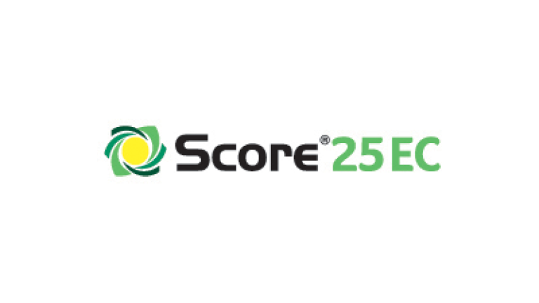 Score 25 EC