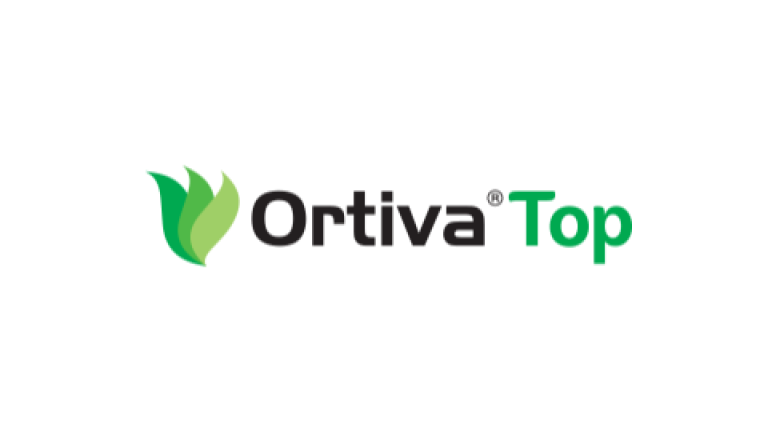 Ortiva Top