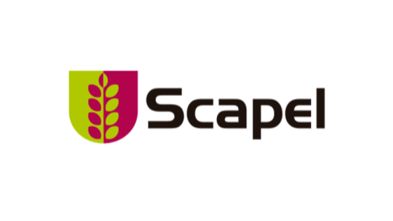 Scapel