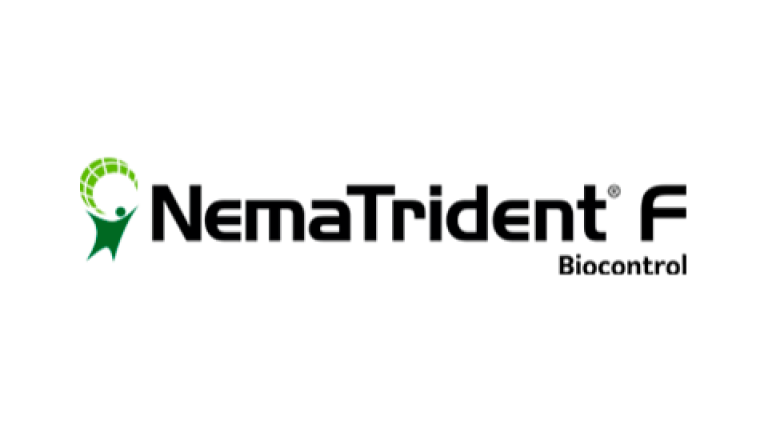 NemaTrident F