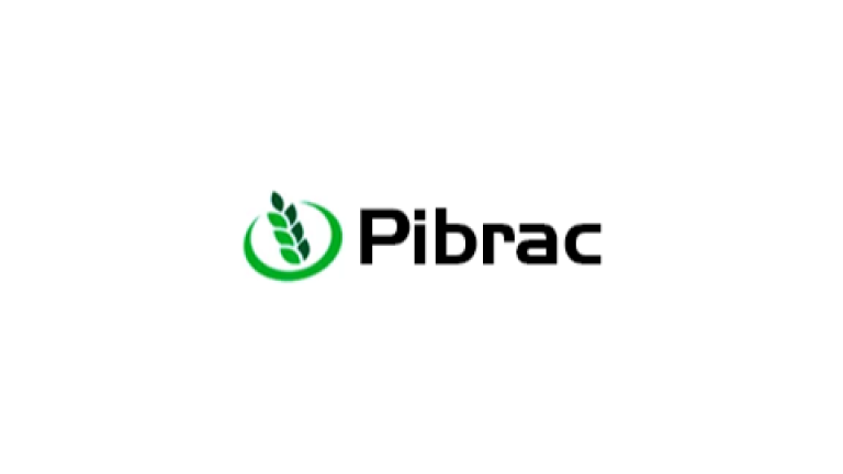 Pibrac