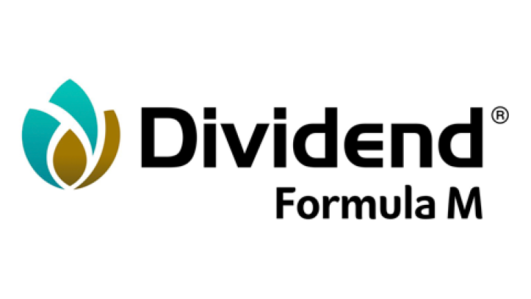 Dividend Formula M