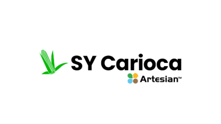 SY Carioca