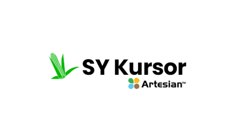 SY Kursor
