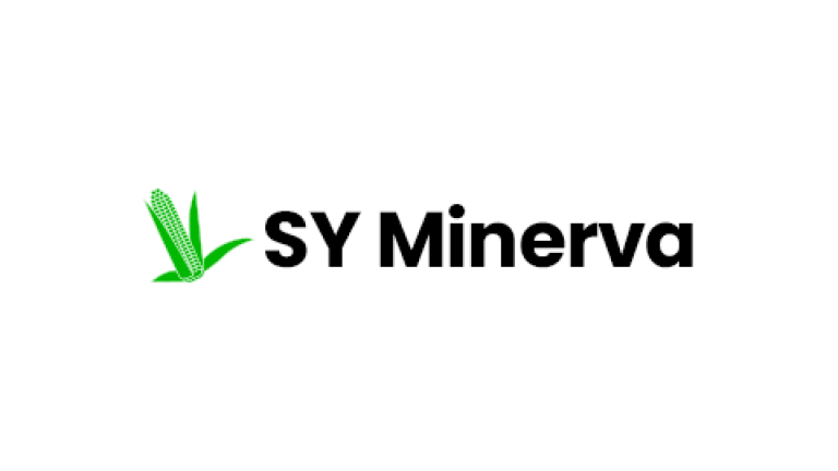 SY Minerva